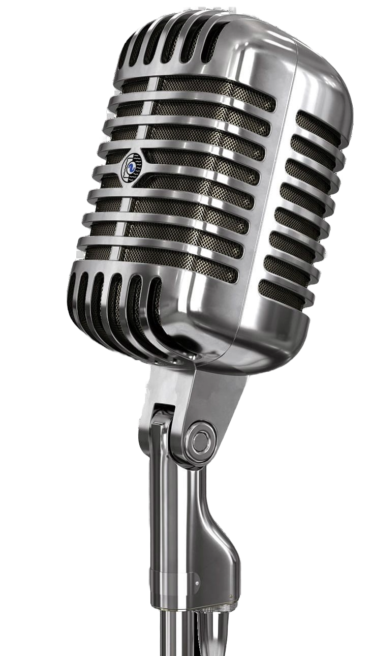 Pro Show Microphone